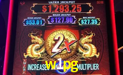Descubra o Mundo do Cassino Online com w1pg